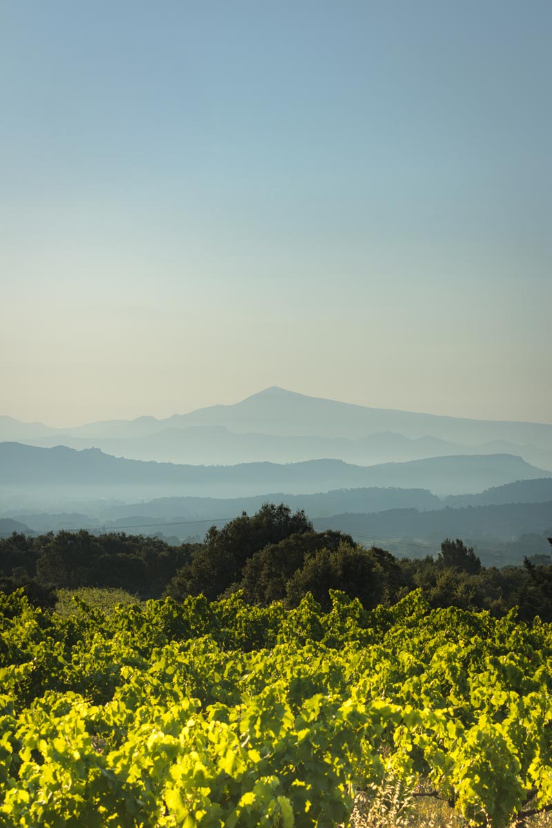 celliers_agathe_marcel_ventoux_aaa_800px